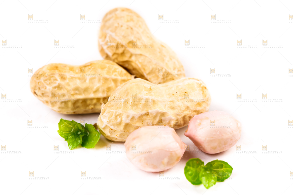 白底上的花生