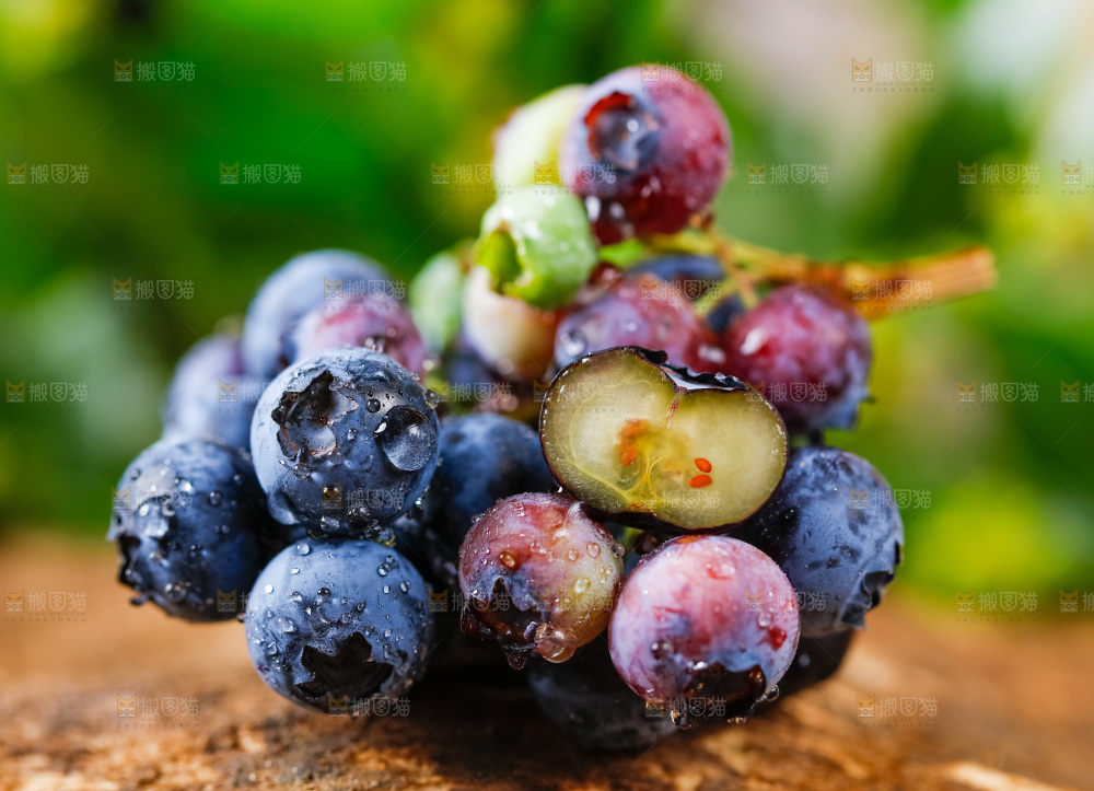木底上放着山东蓝莓鲜果