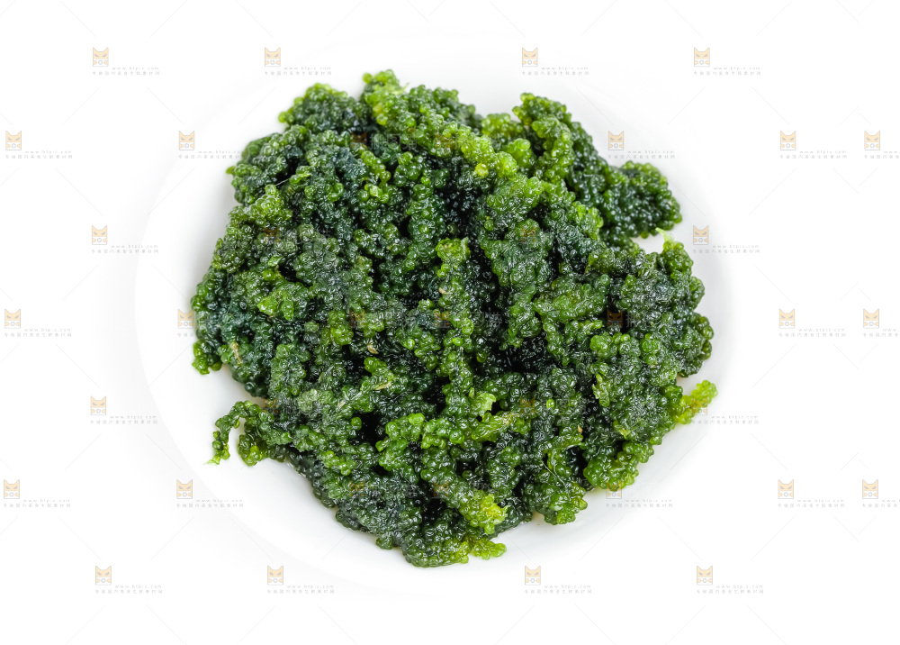 白底上放着一盘海葡萄