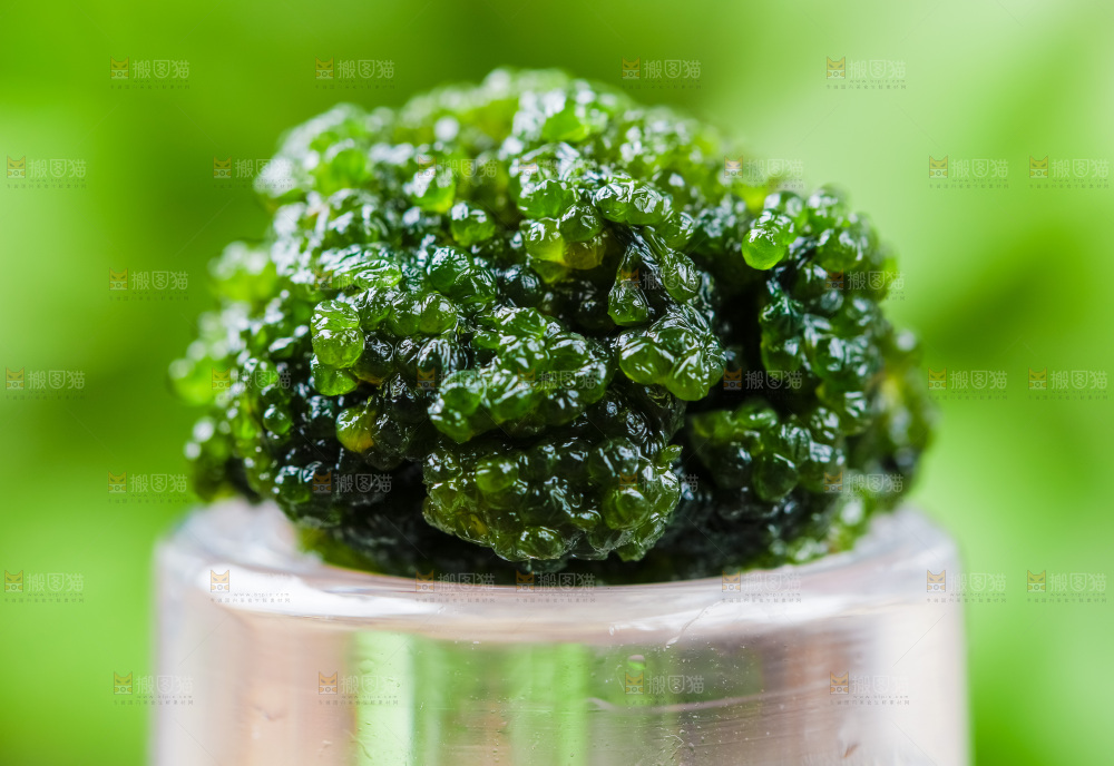 深底上的盐渍海葡萄