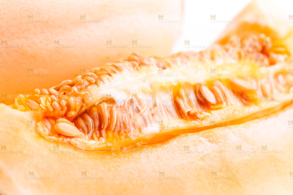 山东东方蜜瓜放在白底上