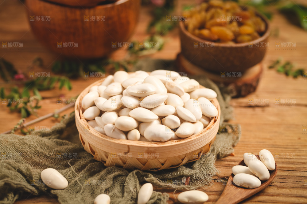 白芸豆