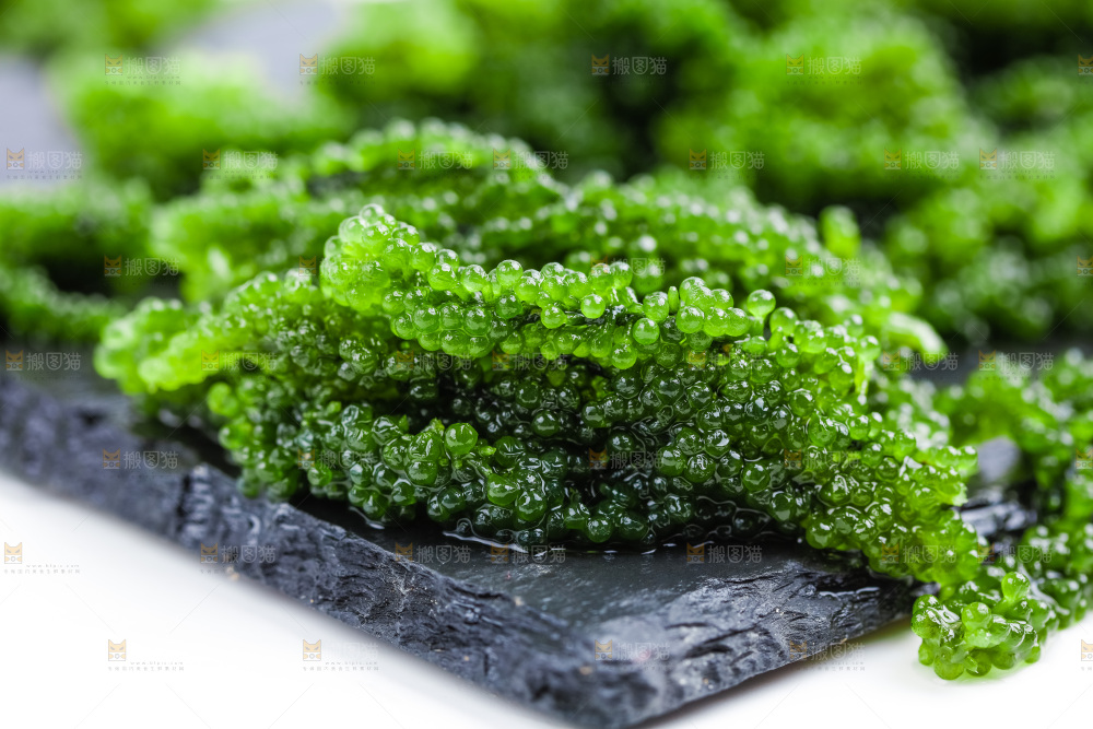 黑石板上的绿色鱼子酱