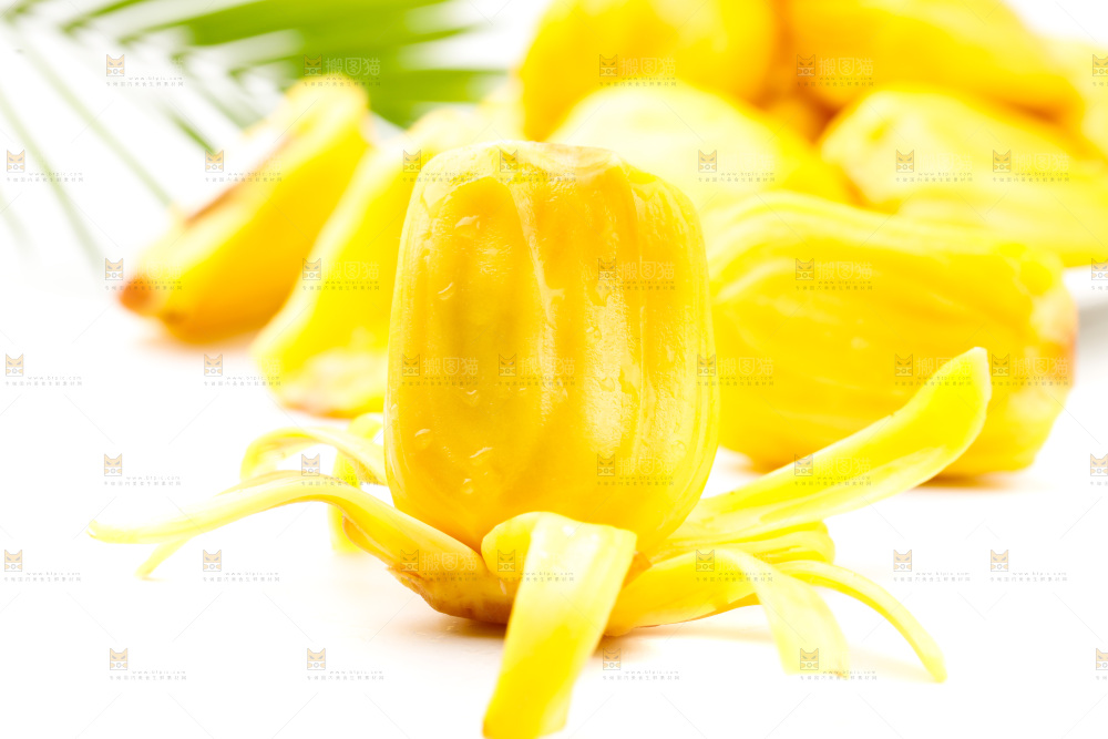 浅底上的黄肉菠萝蜜