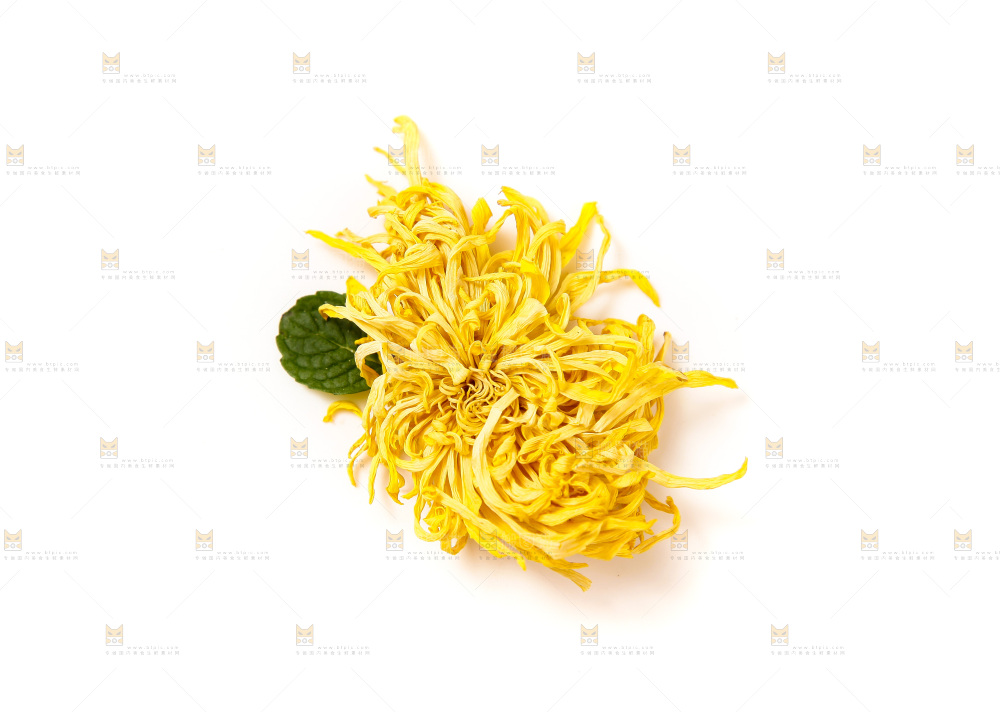 白底上放着干菊花