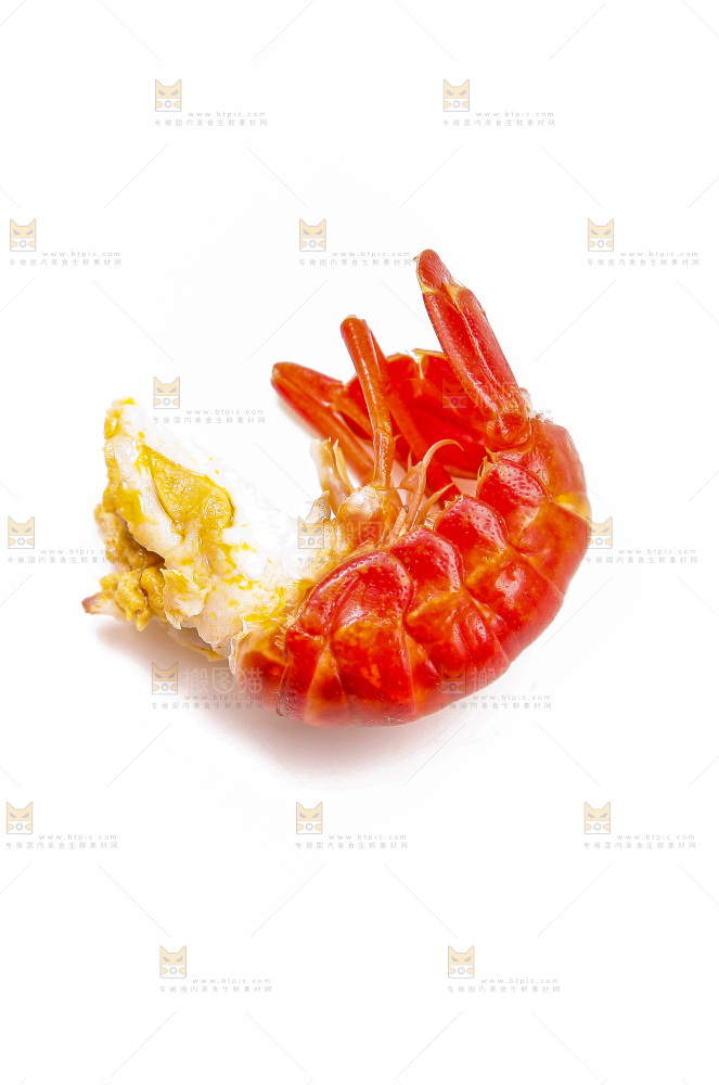 白底上的小龙虾