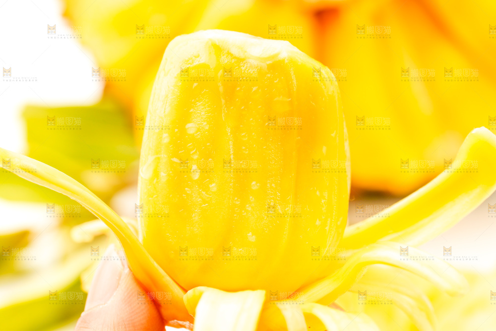 手里拿着新鲜菠萝蜜