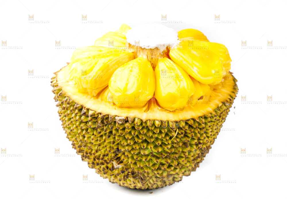 白底上的海南菠萝蜜