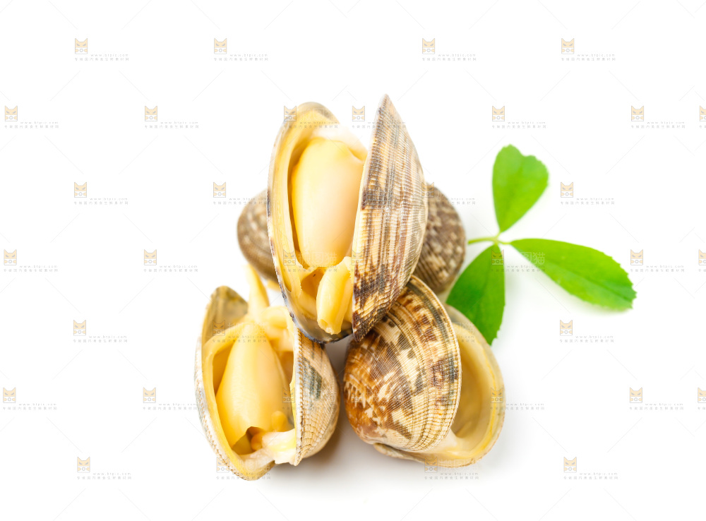 白底上放着蛤蜊