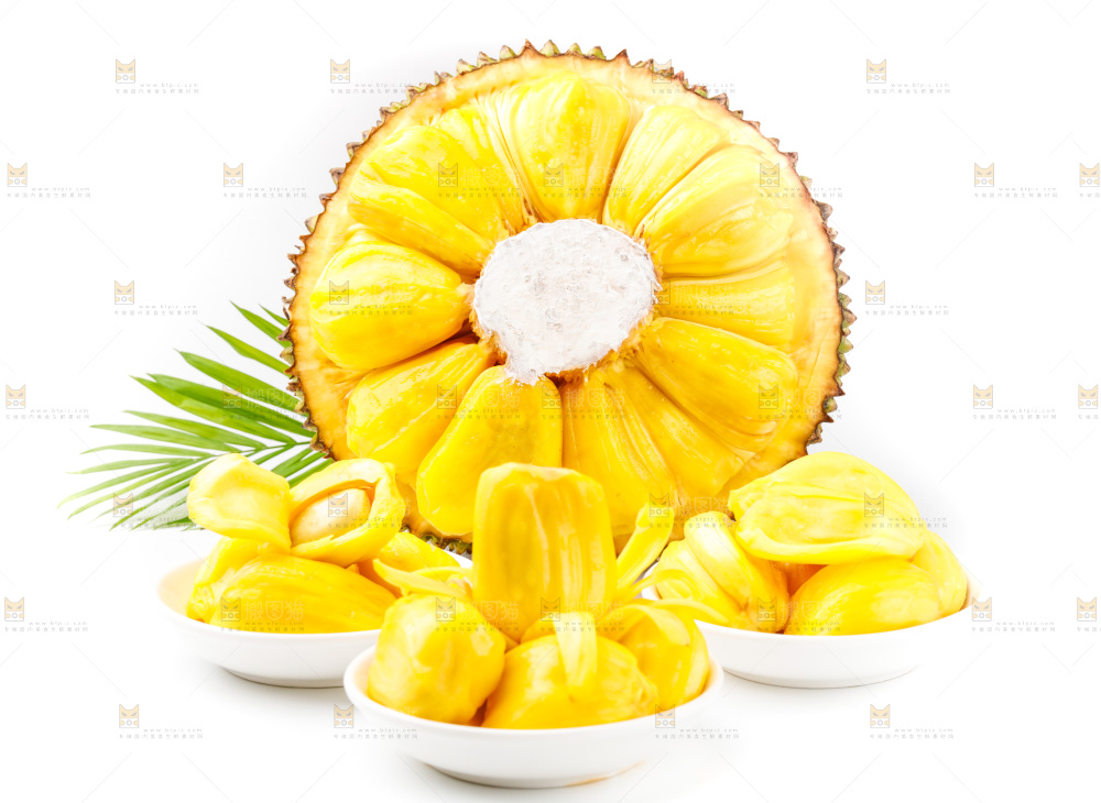 白底上的海南菠萝蜜