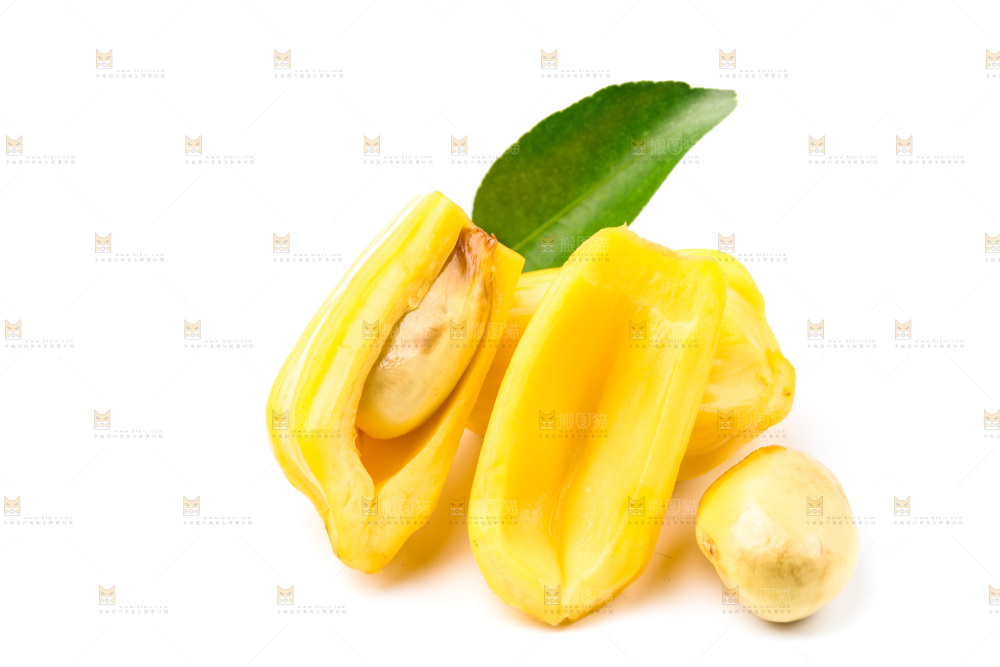 浅底上的海南菠萝蜜
