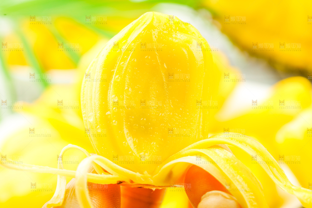 浅底上放着海南菠萝蜜