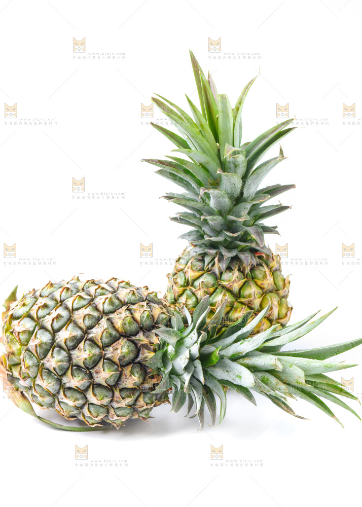 浅底上的海南凤梨