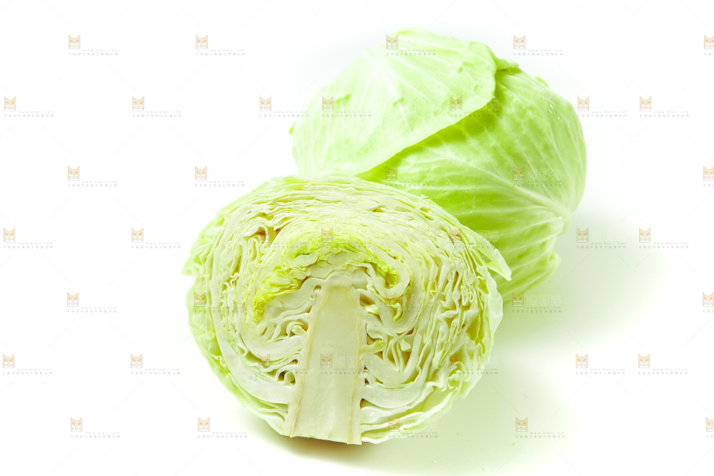 白底上的包菜