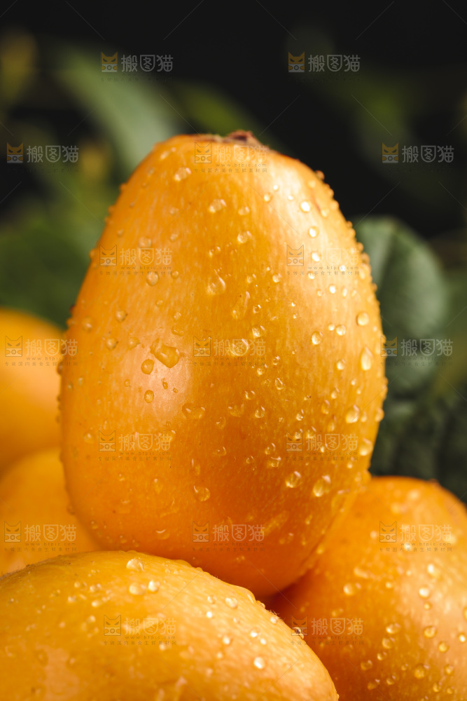 篮子里装着新鲜枇杷