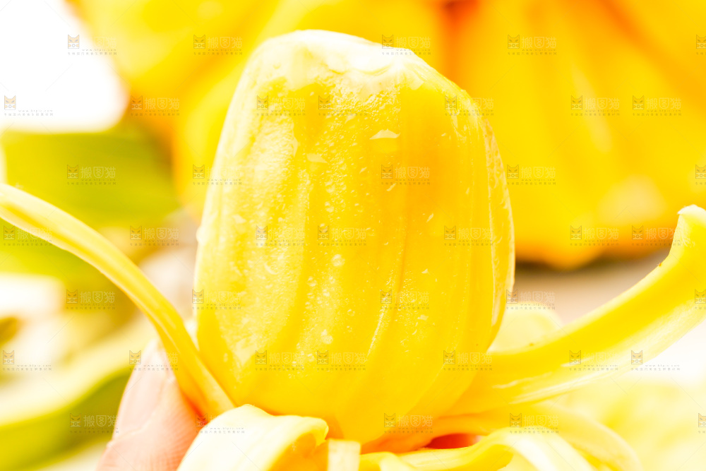 手里拿着新鲜菠萝蜜