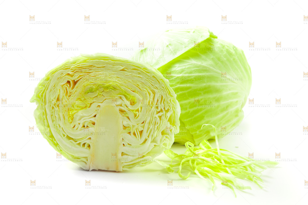 白底上的包菜