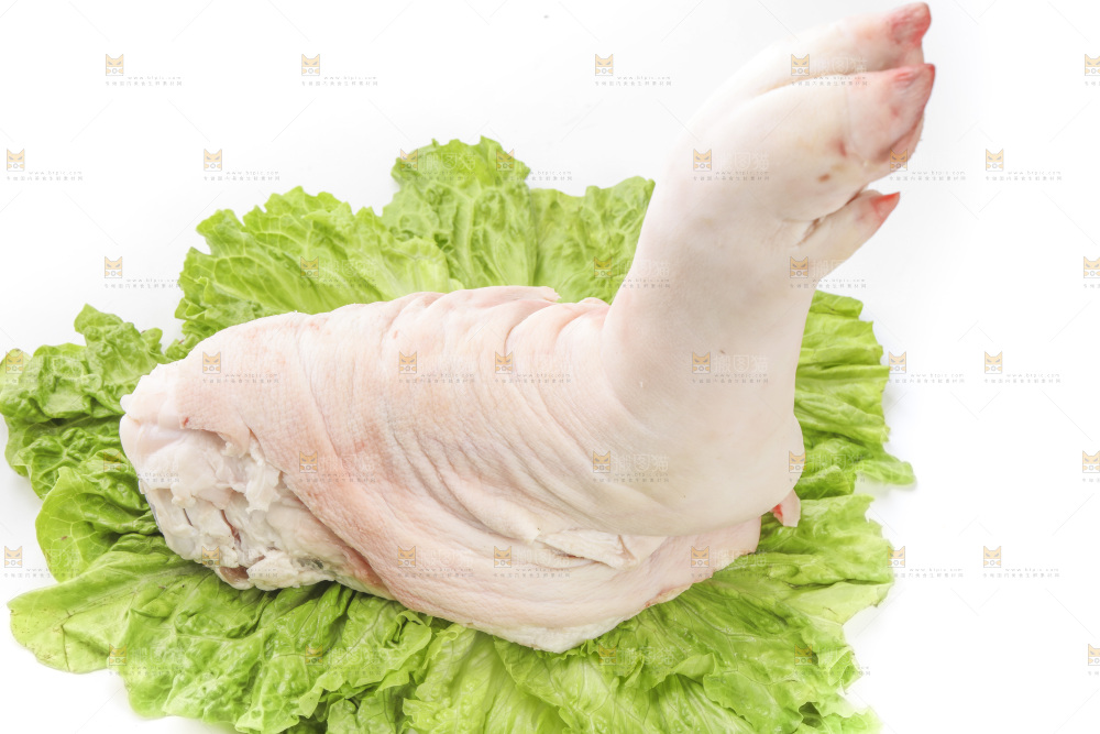 白底上的猪腿