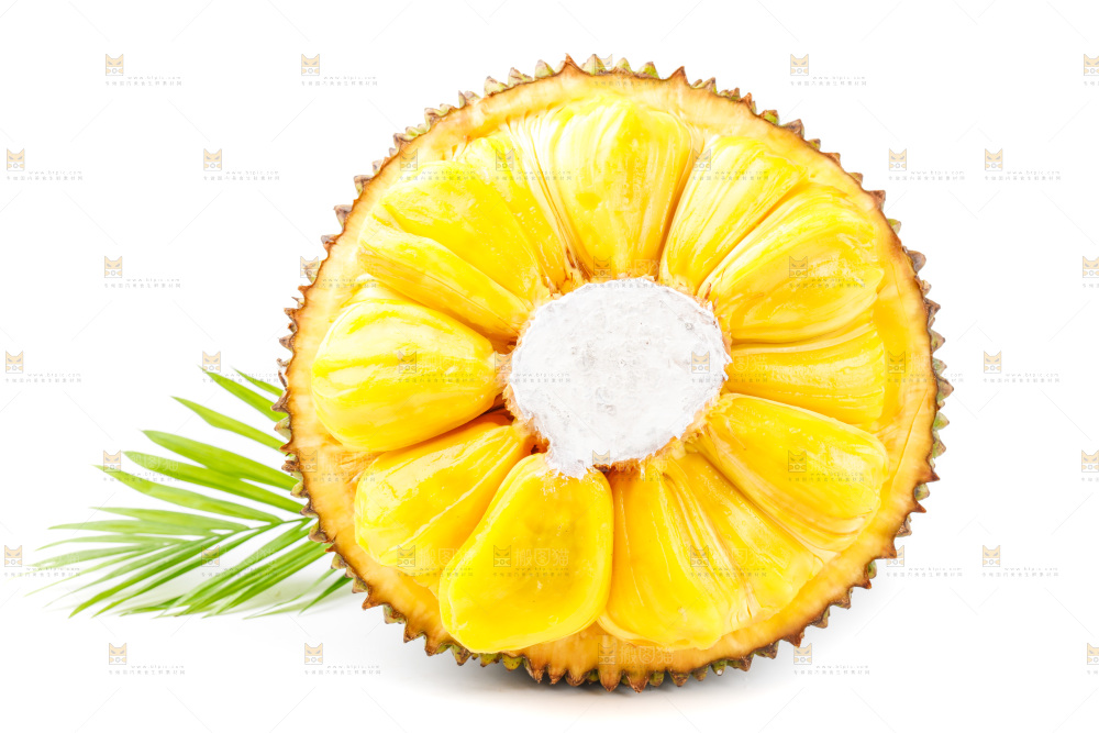 白底上的海南菠萝蜜