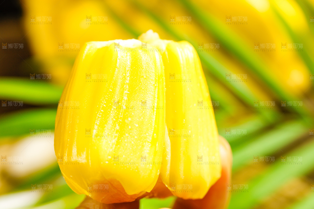 深底上放着新鲜菠萝蜜