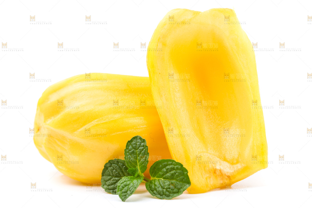 浅底上的海南菠萝蜜