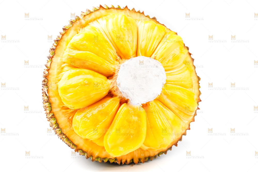 白底上的海南菠萝蜜