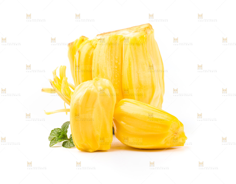 白底上的黄肉菠萝蜜