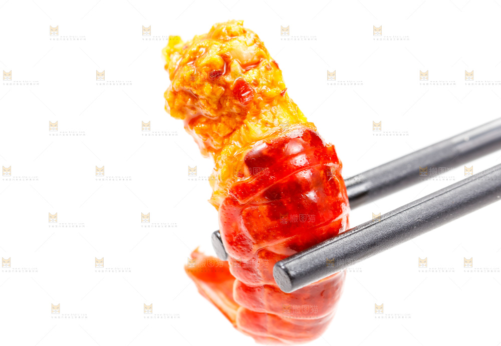 筷子上夹着龙虾尾