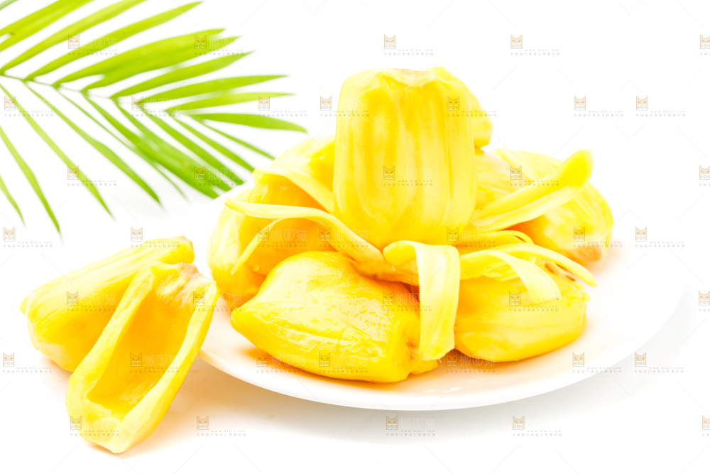 浅底上的黄肉菠萝蜜