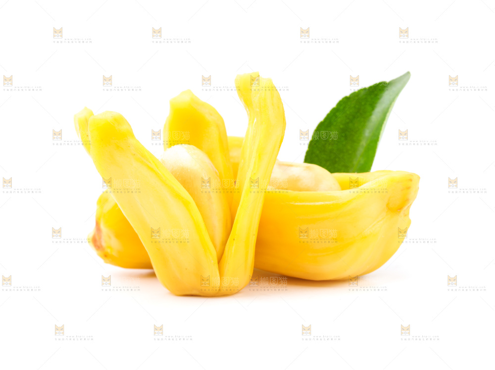 浅底上的海南菠萝蜜