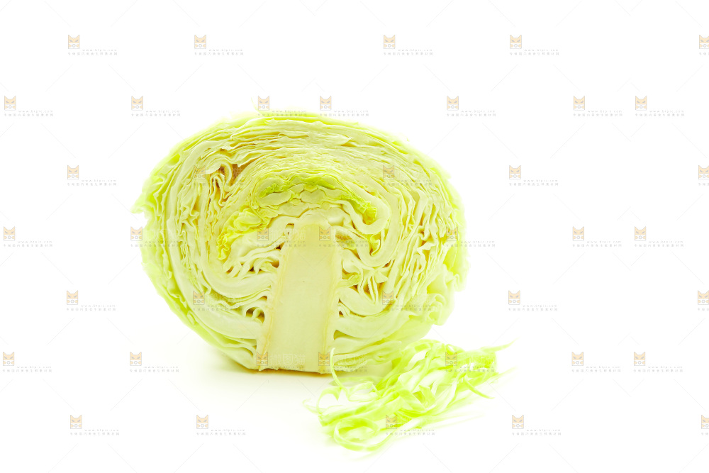 白底上的包菜