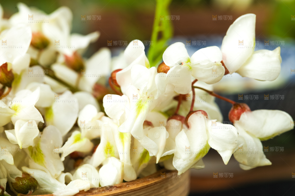 木盒里摆放着槐花