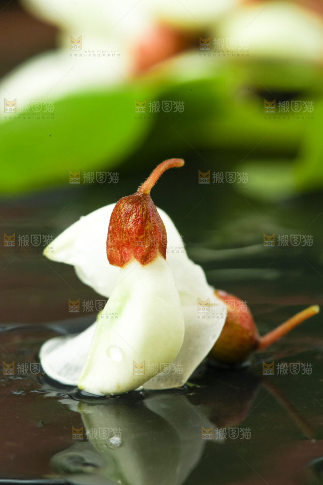 黑底上摆放着刺槐树花