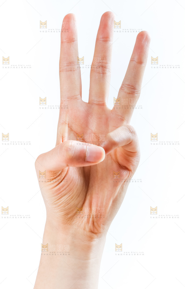 手的姿势
