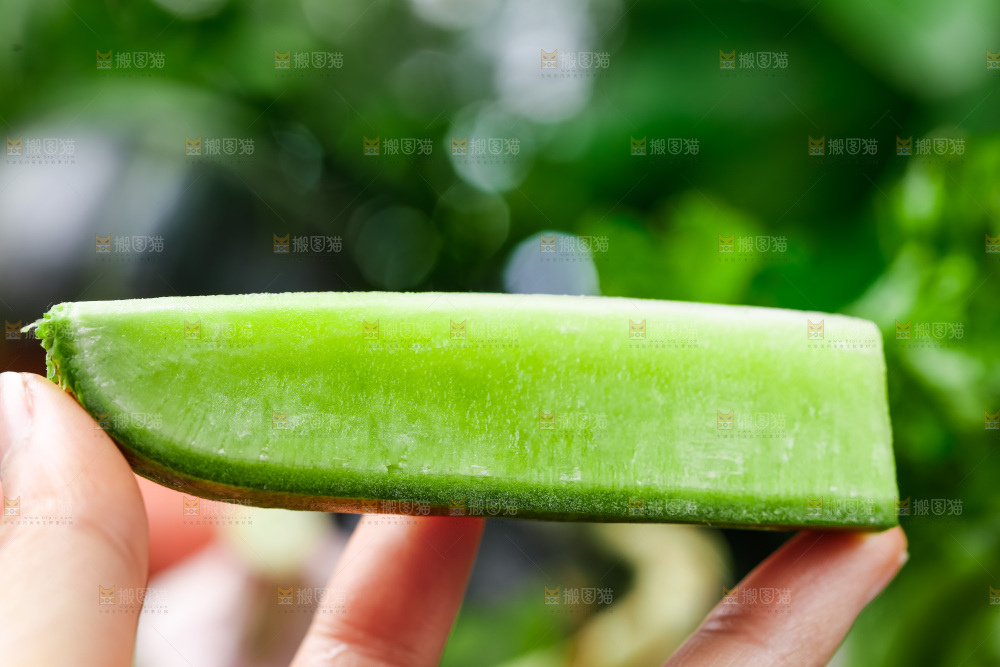 手上拿着水果萝卜