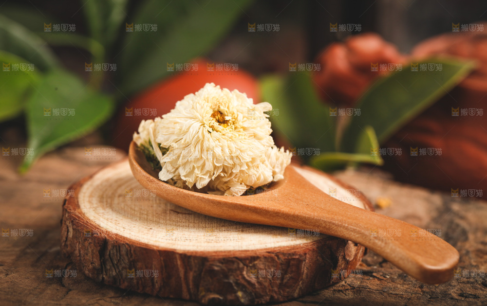 木底上勺子里的杭白菊