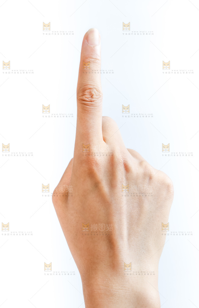 手的姿势