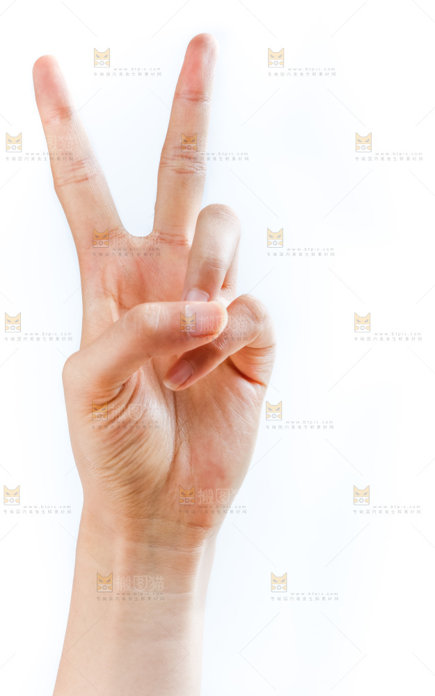 手的姿势