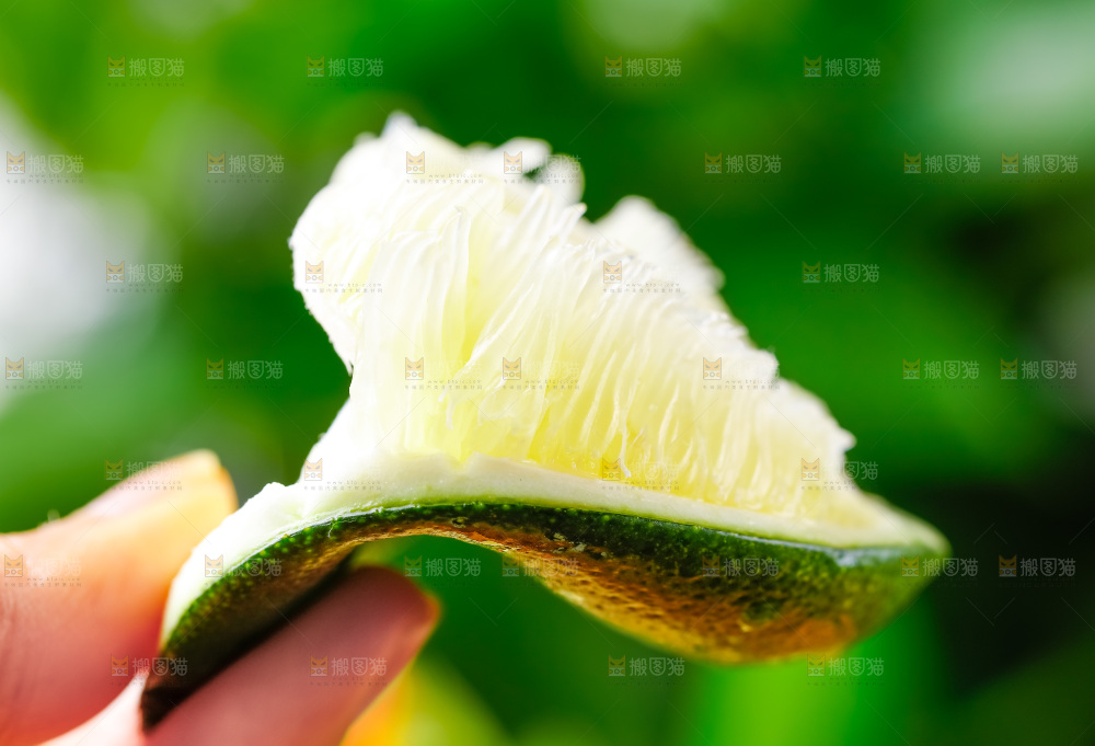 手上拿着切瓣的海南青柠檬