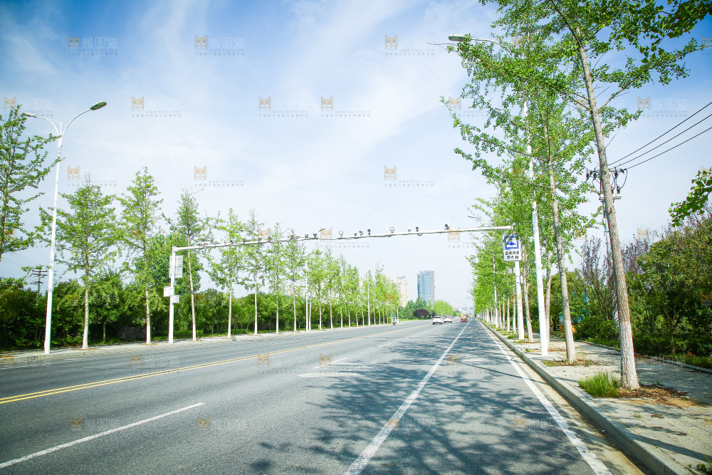 一条公路