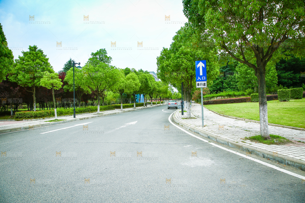机动车道路