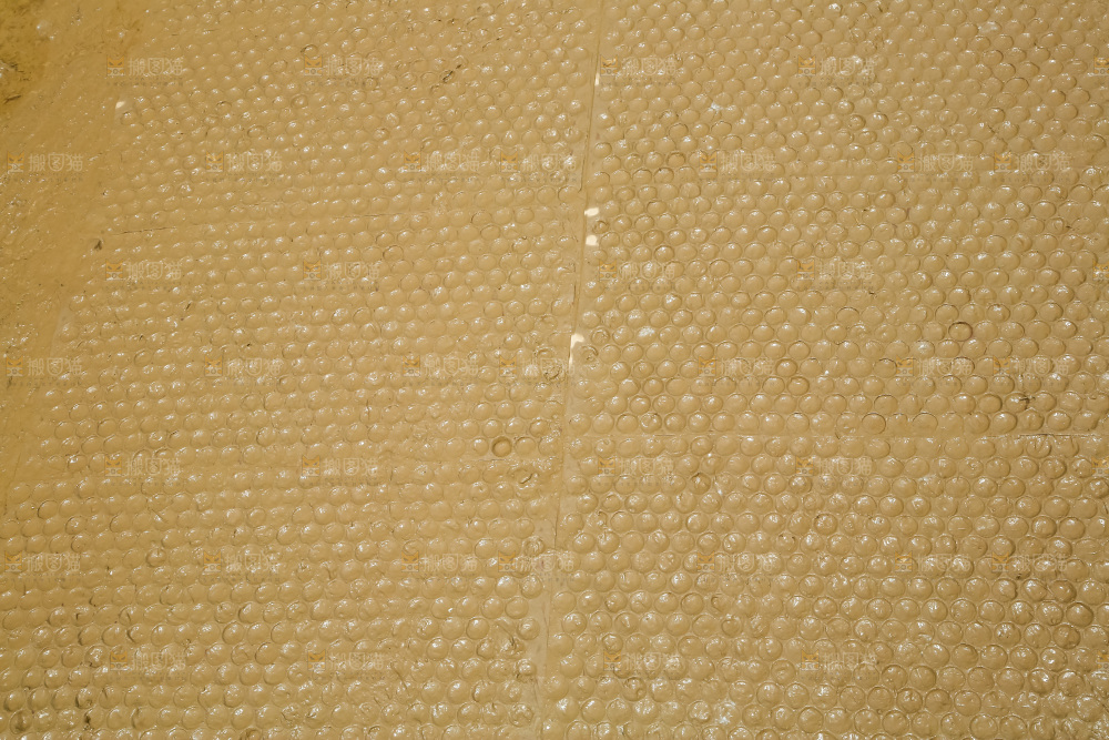 一片秧田
