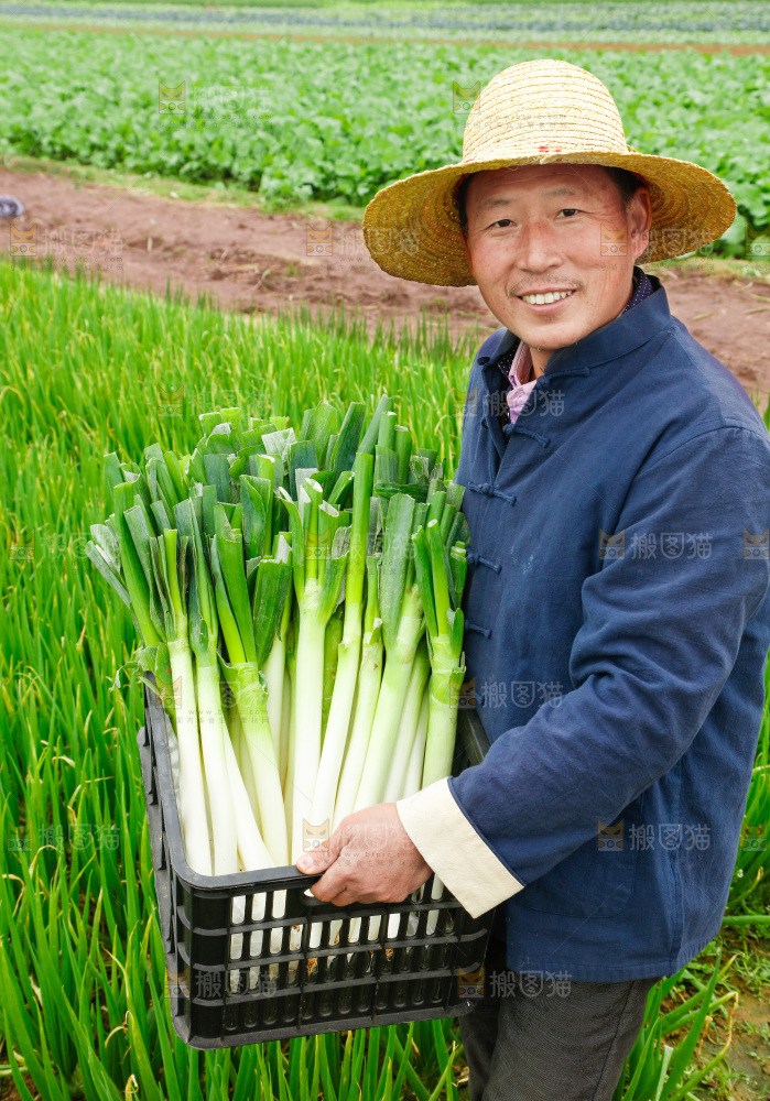农民手里拿着大葱