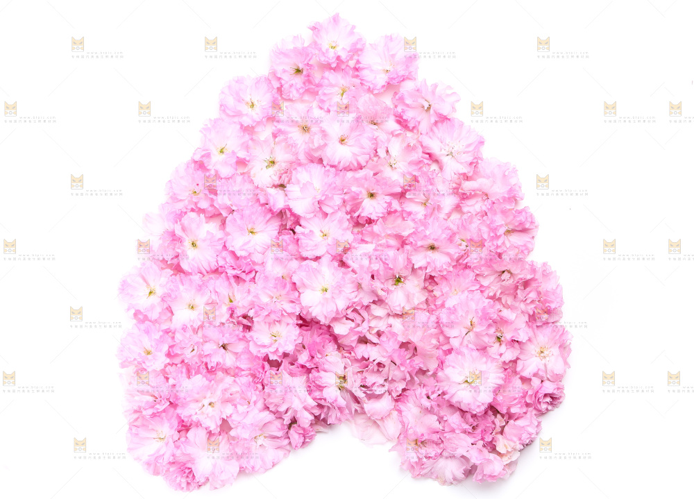 白底上的花朵