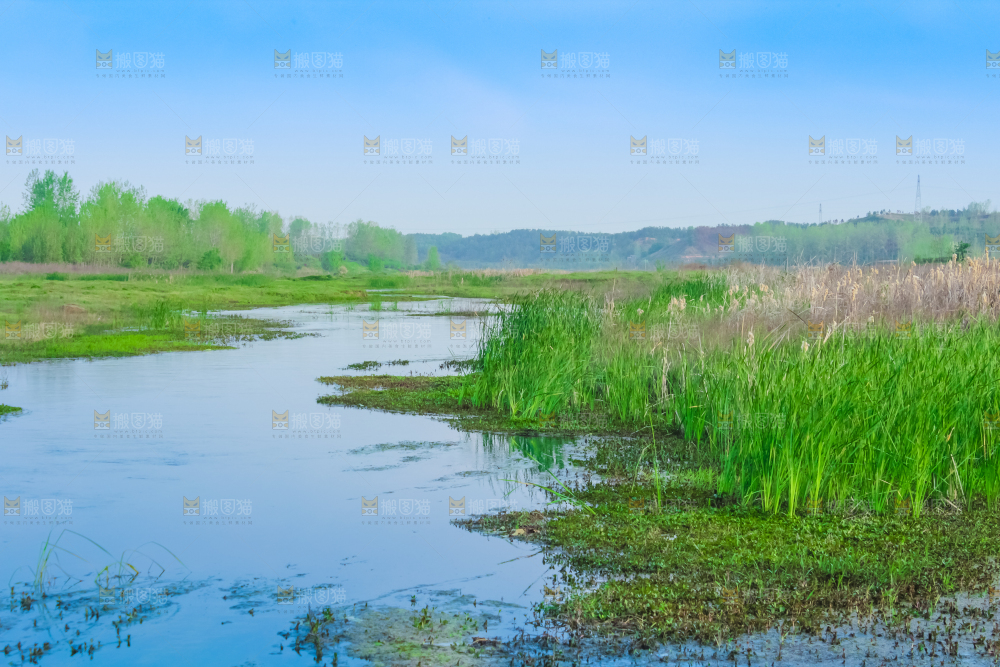 一条清澈的河流