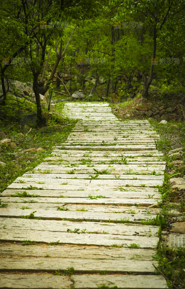 林间小路