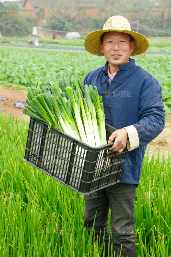 农民手里拿着大葱