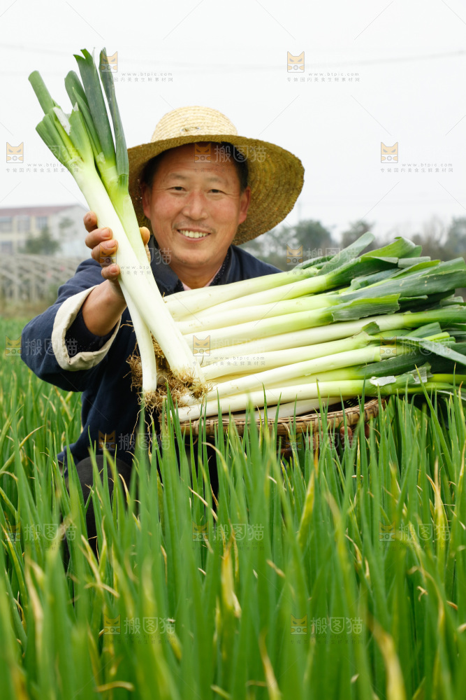 农民手里拿着大葱