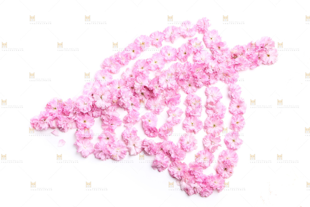 白底上的花朵