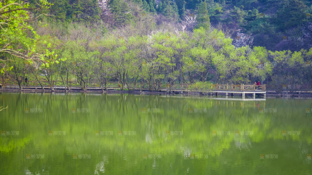 湖泊里的水